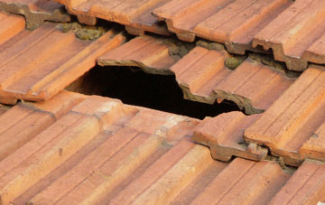 roof repair Old Johnstone, Dumfries And Galloway